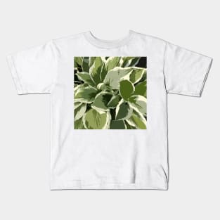 Hosta artwork in shades of green plants Kids T-Shirt